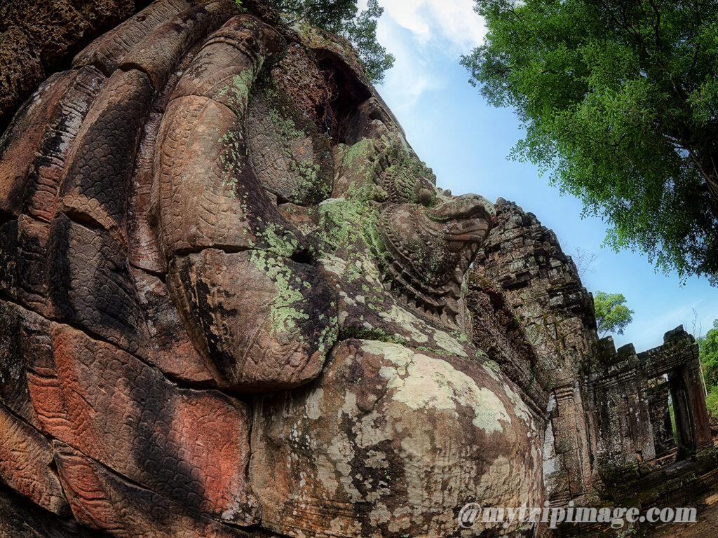 The West Gate of Preah Khan (4)