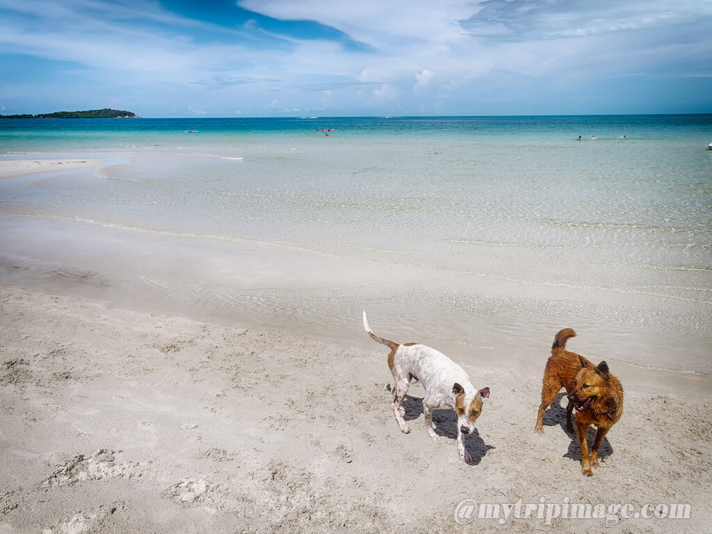 Chaweng Beach (1)