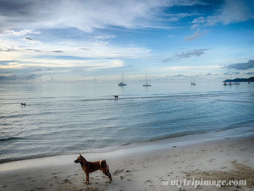 Chaweng Beach (8)