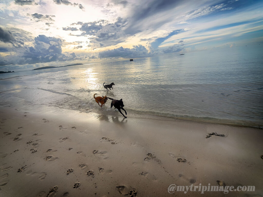 Chaweng Beach (9)