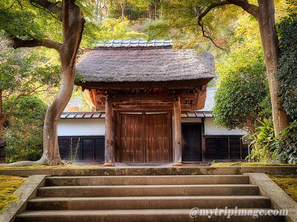 Engakuji Temple (8)