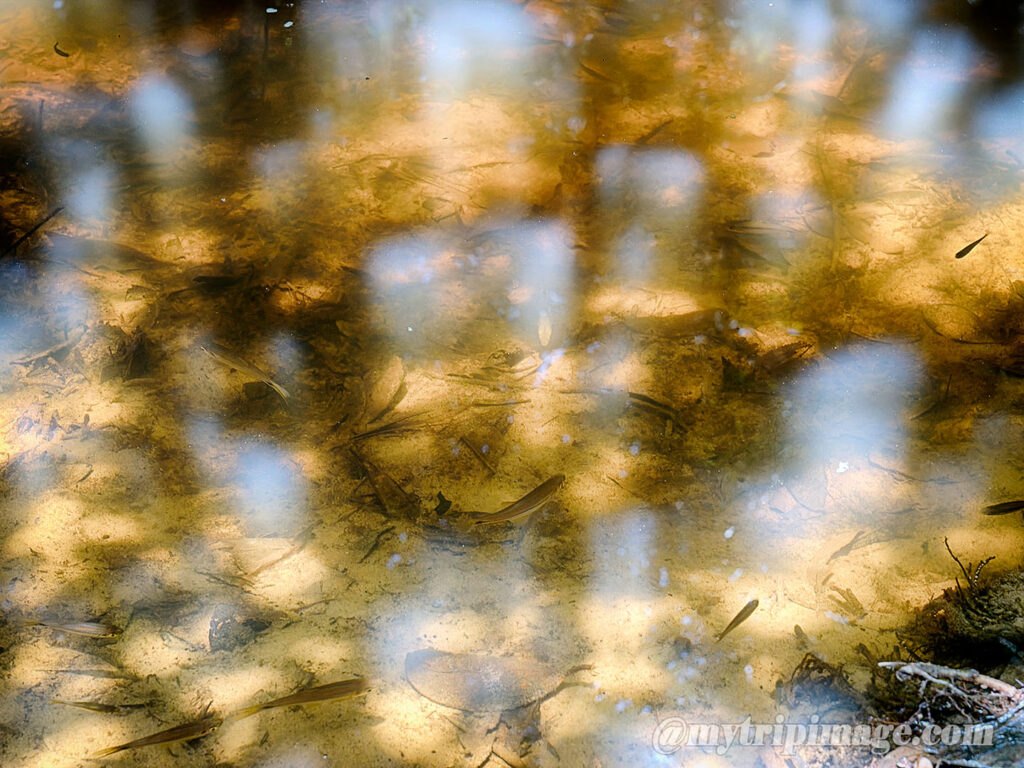 Kbal Spean (10)