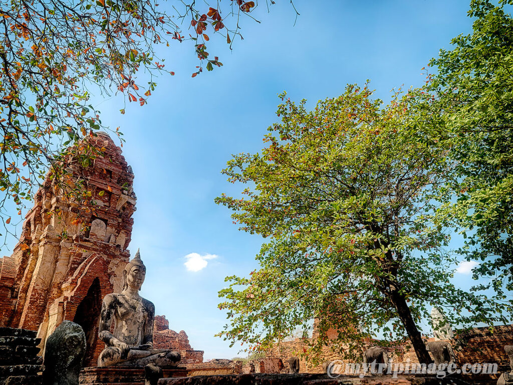 Wat Mahathat in Ayutthaya (1)