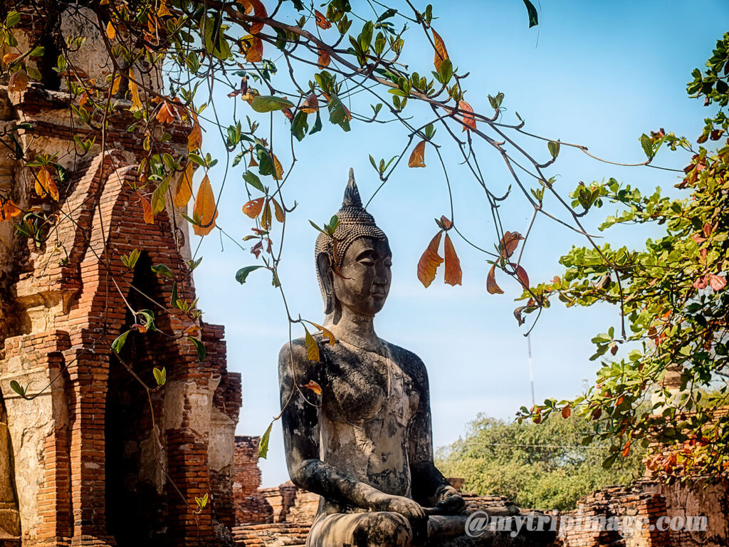 Wat Mahathat in Ayutthaya (2)