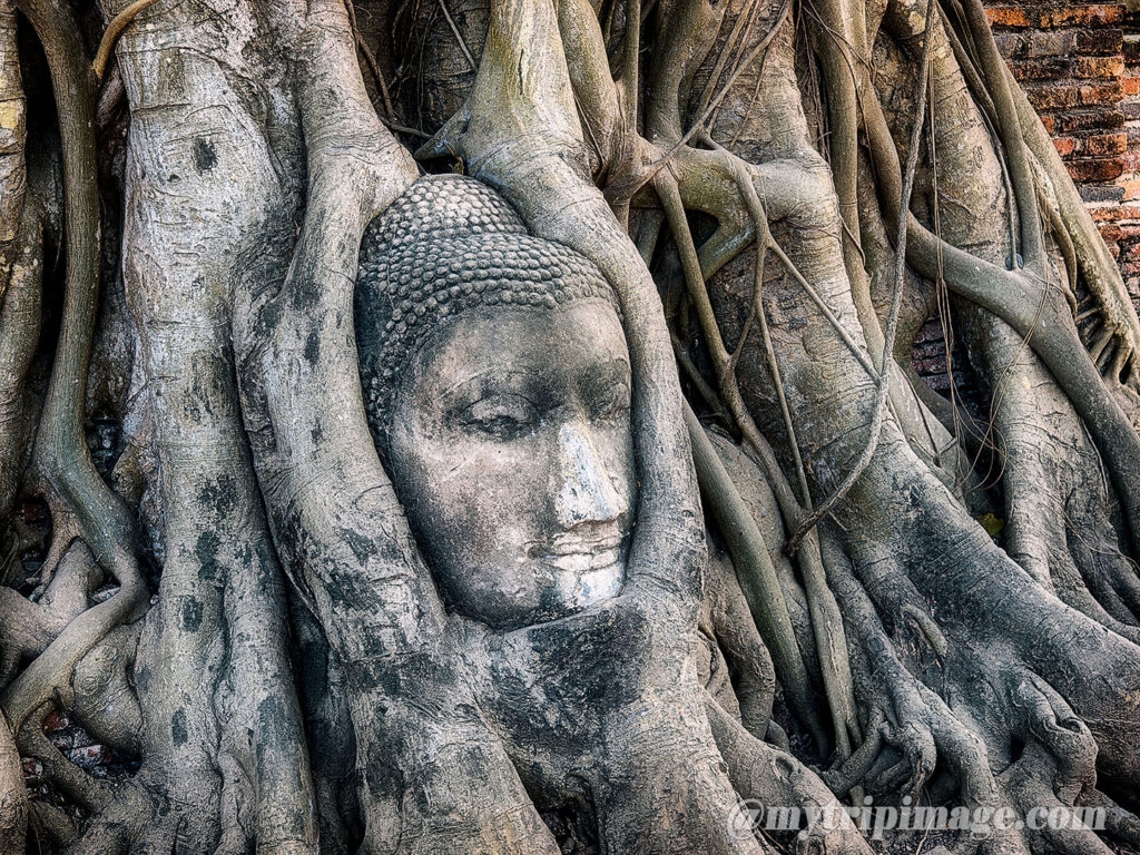 Wat Mahathat in Ayutthaya (3)